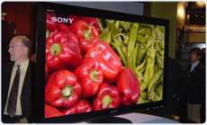Sony ZX1M at CEDIA