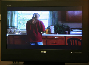 Sanyo DP32647 Review